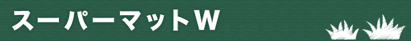 X[p[}bgW A}bgH